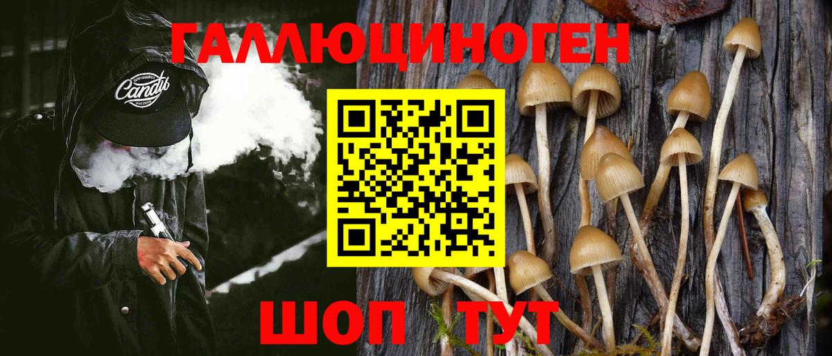 Дальнегорск  Псилоцибиновые грибы Magic Shrooms  Вход с VPN 